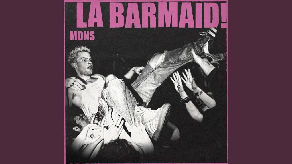 Découverte : MDNS, le sale gamin du punk lillois qui secoue le rock français